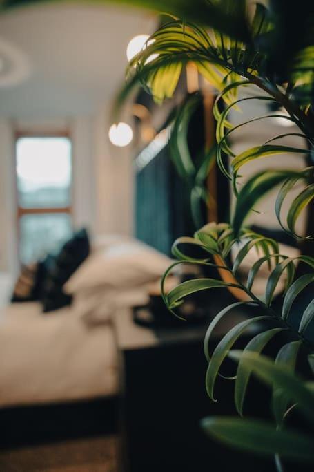 Апартаменты Penthouse Noir - Wyndale Living - Bham 2br Бирмингем